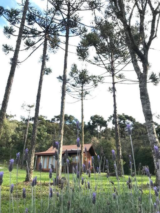 Cabana Do Lenhador - Urubici, Sc Εξωτερικό φωτογραφία