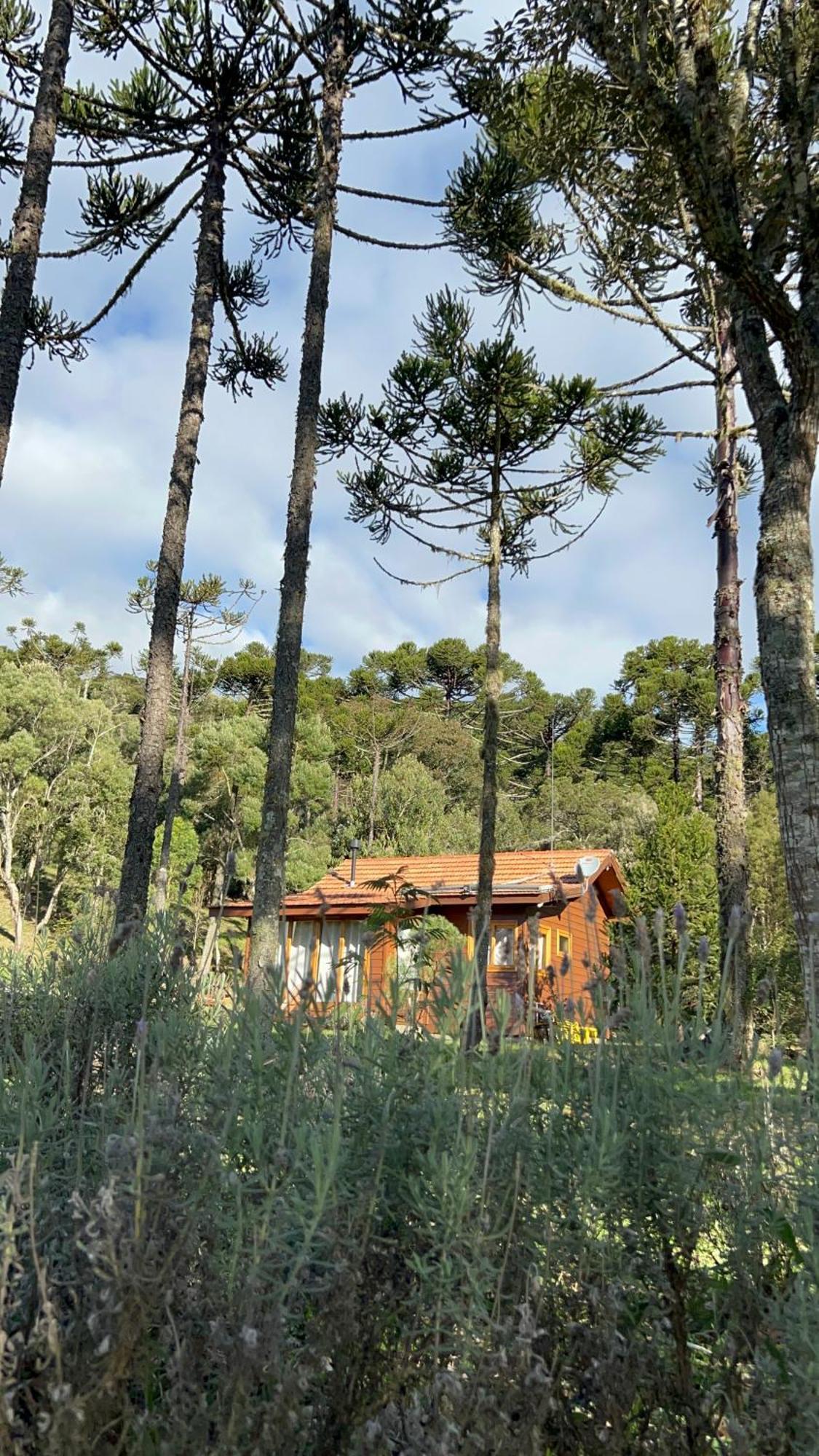 Cabana Do Lenhador - Urubici, Sc Εξωτερικό φωτογραφία
