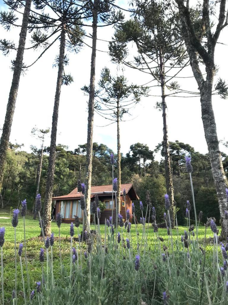 Cabana Do Lenhador - Urubici, Sc Εξωτερικό φωτογραφία